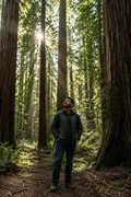 Redwood Forest: AI Great Outdoors & National Parks example