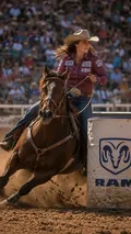 Rodeo Champion: AI Western Cowboy example